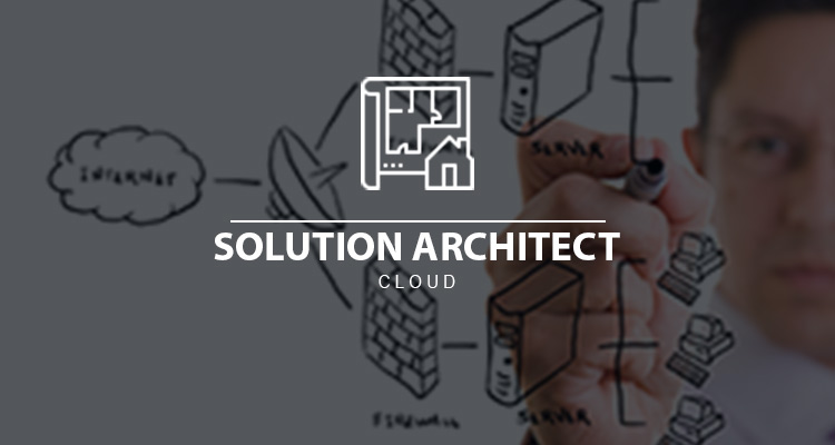 SOLUTION-ARCHITECT